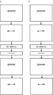 The Training of Morphological Decomposition in Word Processing and Its Effects on Literacy Skills